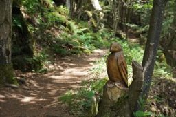 Rando Ottrott Dreistein Ste-Odile