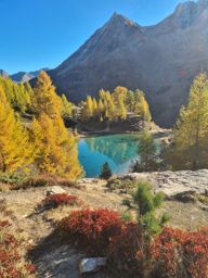 Pointe de Vouasson par le lac bleu et le glacier. Retour par le mont de l’étoile