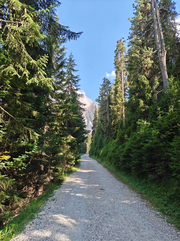 route-highlight