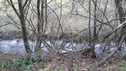 Dünnbach in der Nähe der Junkersmühle am Radweg