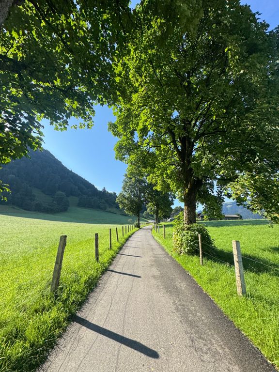 route-highlight