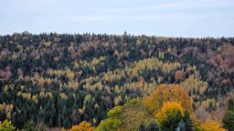 Saint Sauveur Pourrimont