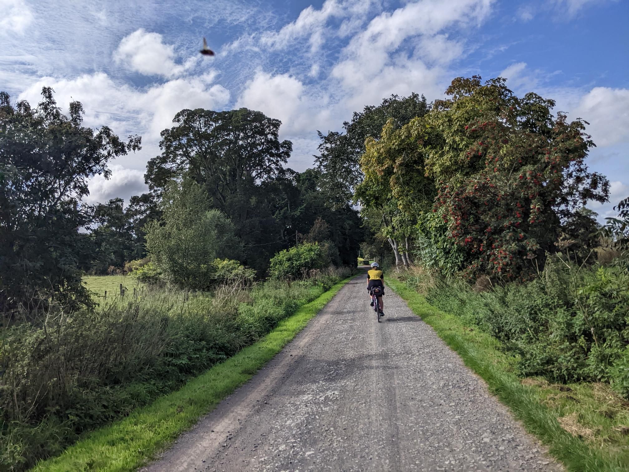 Borderlands Bikepack - Day 3 photo 8