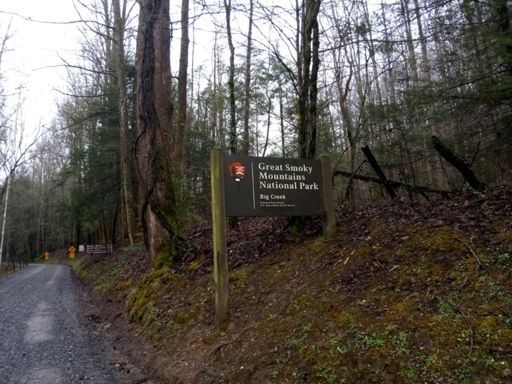 Great place for a run.