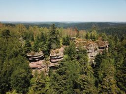 VTT roche des druides