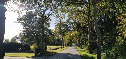 Richting uithuizen achterlangs