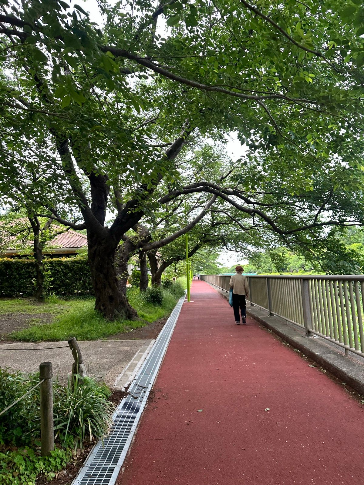 Morning Run
