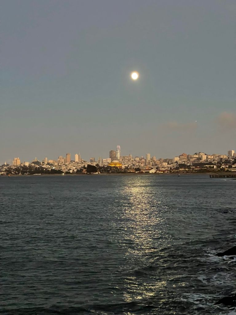 Butterlap (Presidio & Golden Gate Park) photo 191