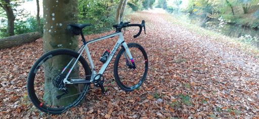 Silence is Golden 🍁🍁🍁🍁🍁♥️