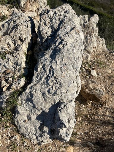 Look closely Sea Shells beyond Rocky Peak 😎 I’ve been riding here for years & these fossils will still be here long after I’m gone. Only wish I could have left such an impression on this world 🤷‍♂️