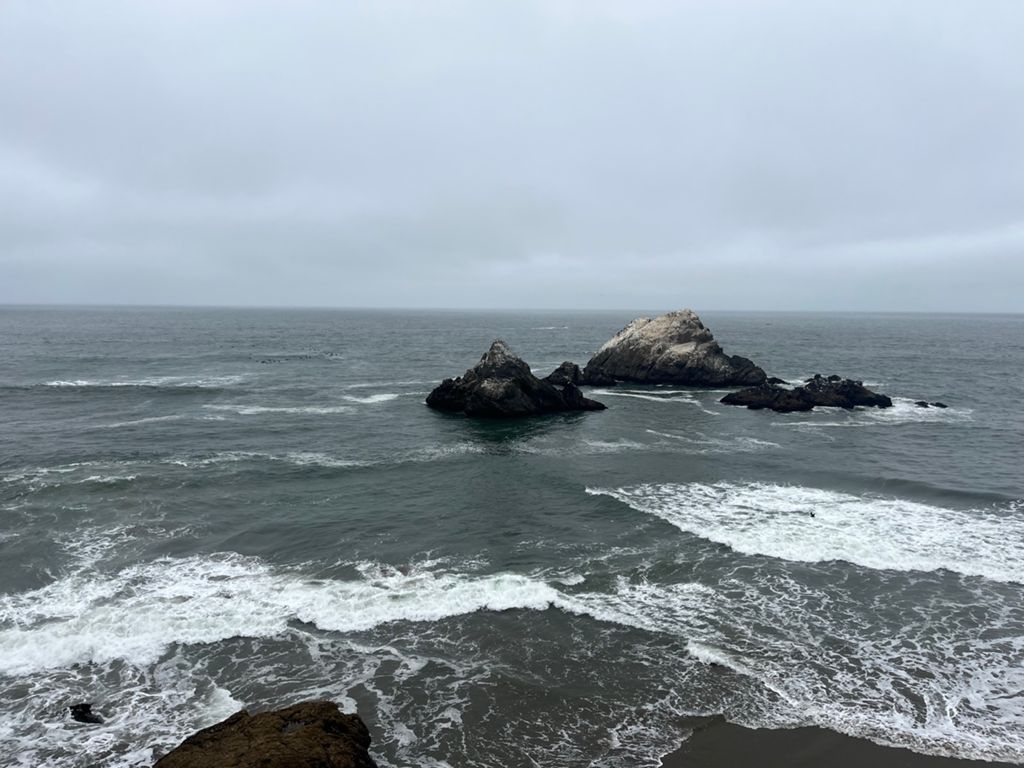 Butterlap (Presidio & Golden Gate Park) photo 75