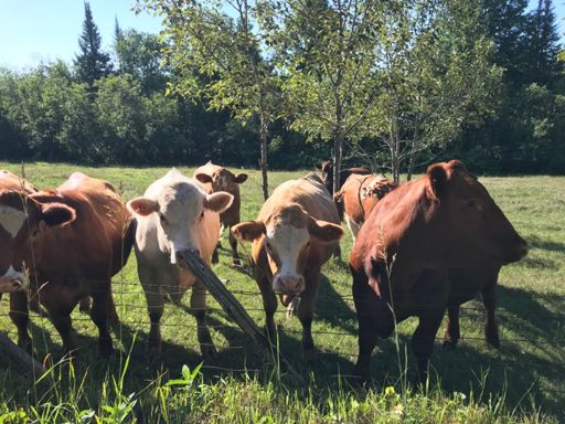 Then they all wanted to be in the shot!