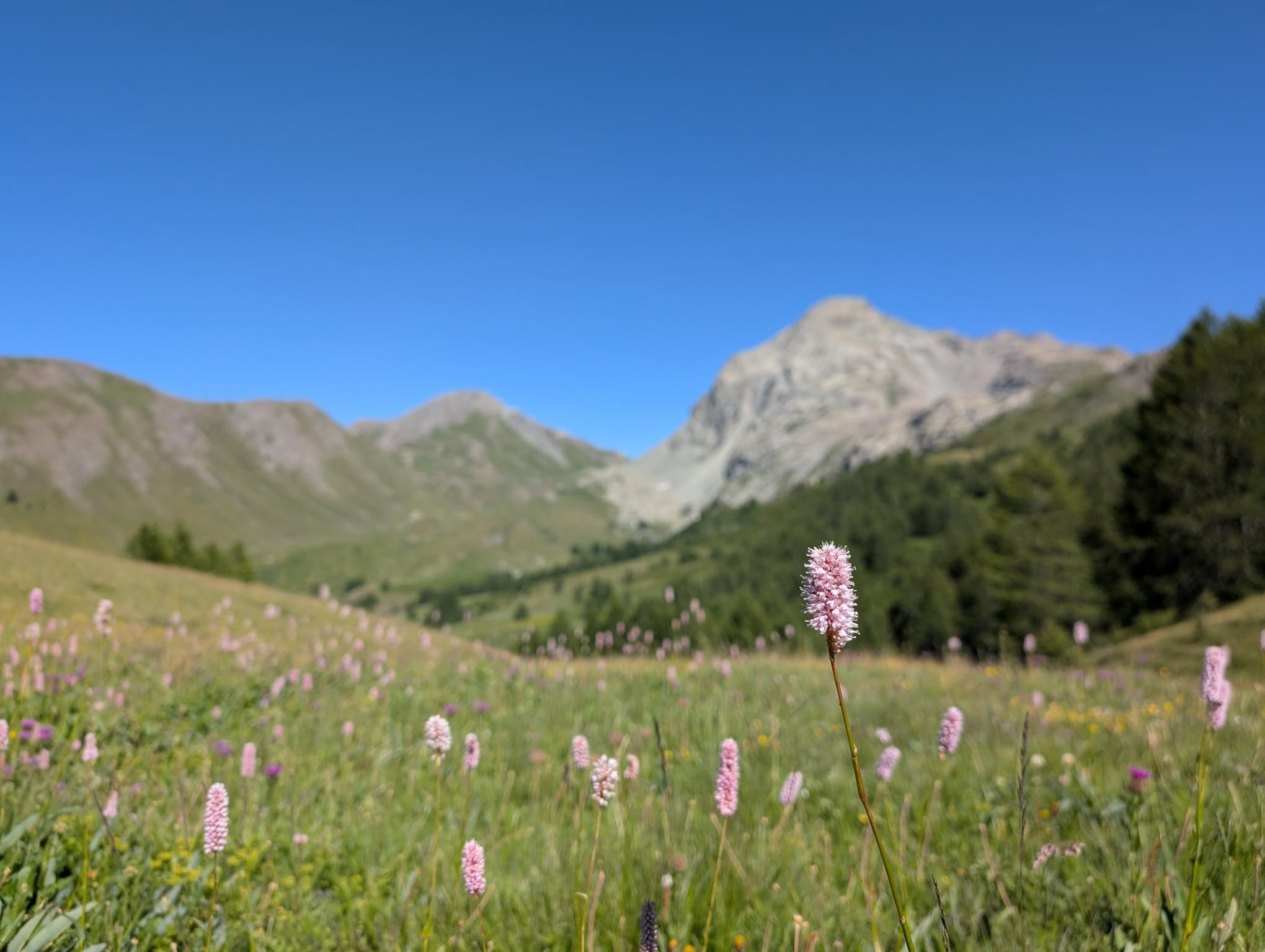 GR58 - Day 3 photo 11