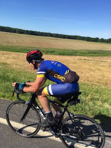 A majestic Brian in the wild