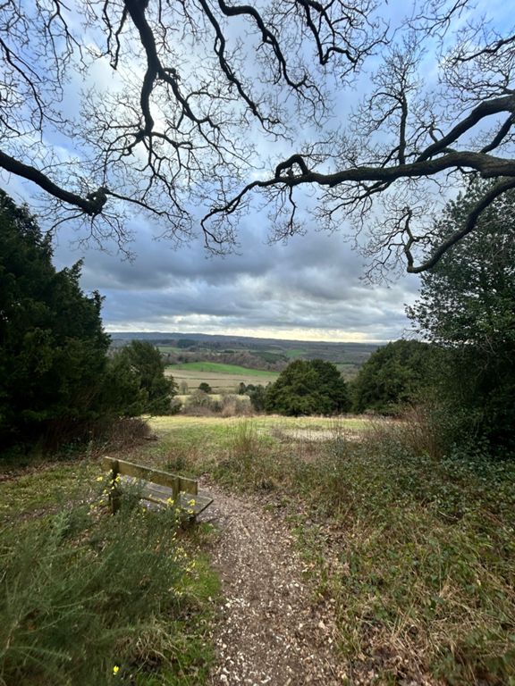 Walk 4.4 km Walking Route on Strava