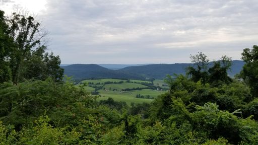 Nice view from near the top of Breakneck Rd. Just before getting stung by a bee on the descent.