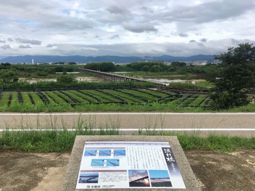 この橋は考えて作られてますね😊