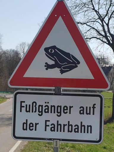 Sind wandernde Kröten "Fußgänger" lt. StVO?