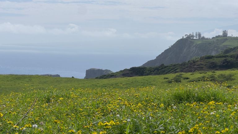 Sunny Day and Waterfalls