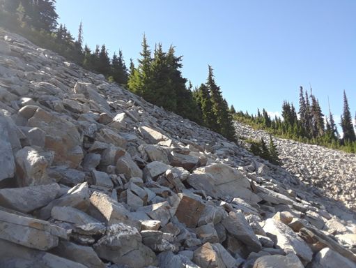 Boulder field to the SE of the summit