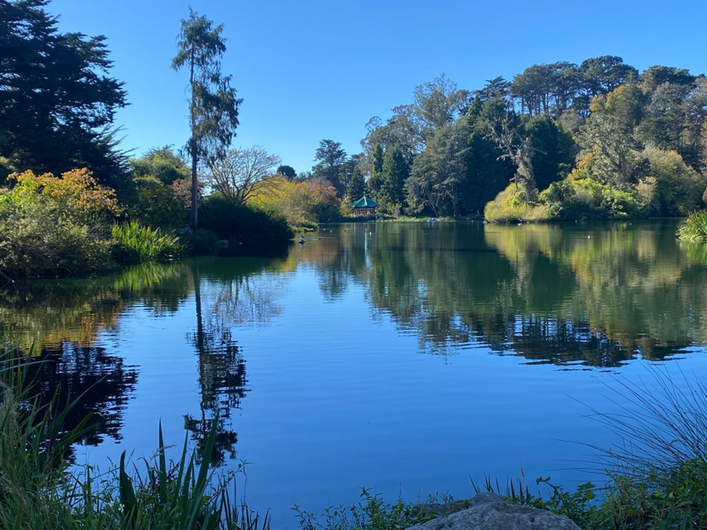 Butterlap (Presidio & Golden Gate Park)的照片 149