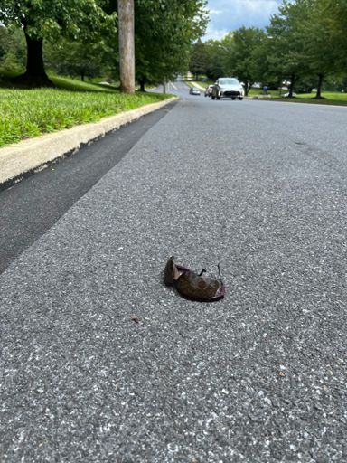 Just a bit up the hill from the intersection