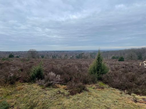 Hier echt een stop op de top ( Holterberg)