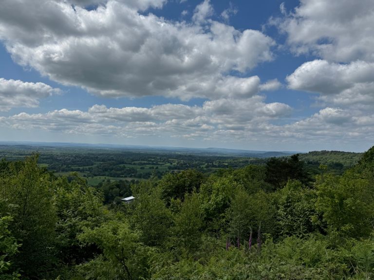 Shere Marathon 42.0 km Running Route on Strava