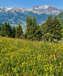 Rando via ferrata Fruttstägä, spilauersee, fulen