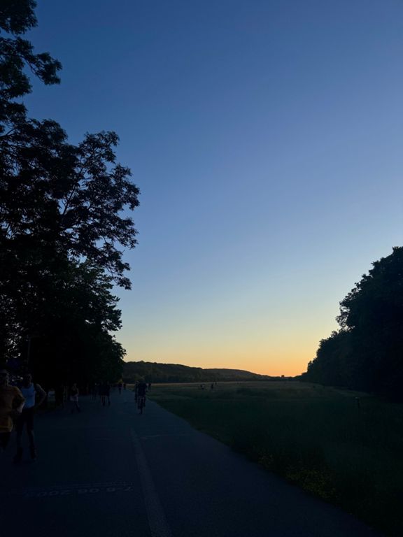 route-highlight