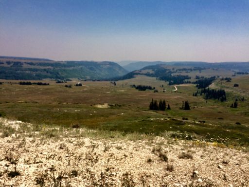 Looking down Seely Creek from Skyline.