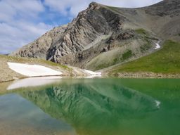 Rando fleurie autour du lac d’Allos