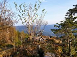 VTT roche aux cochons