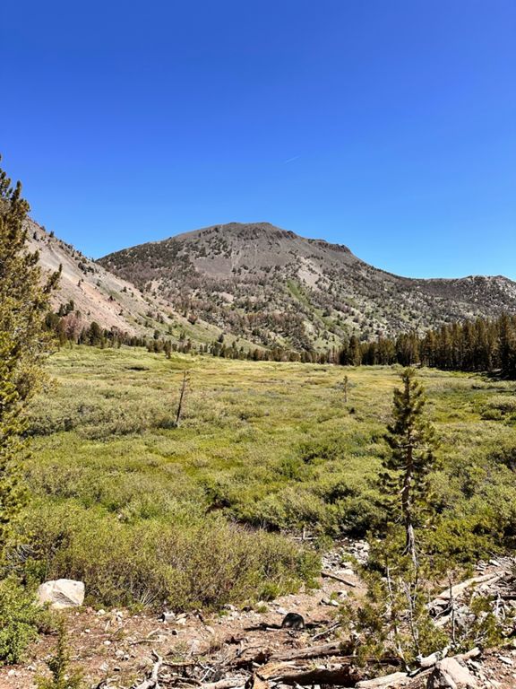 Mount Rose Summit | 9.7 mi Hiking Trail on Strava