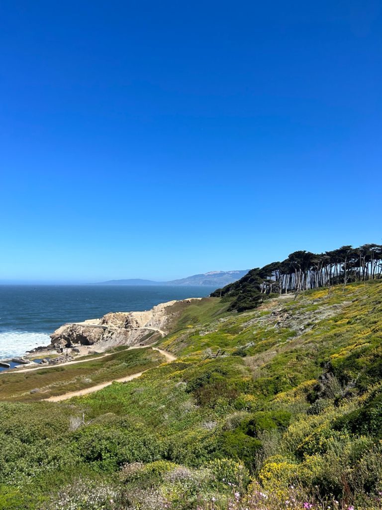 Butterlap (Presidio & Golden Gate Park)的照片 110