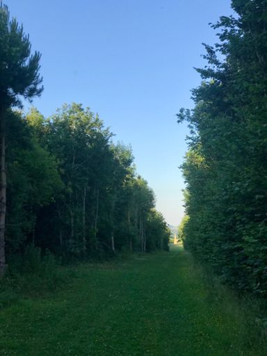 Calm before the storm