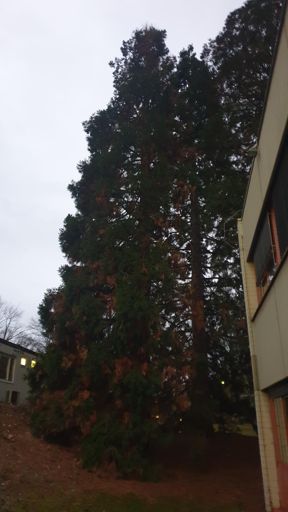 Frankfurt_ID23805_BM_Schleusenweg 2-16_B3