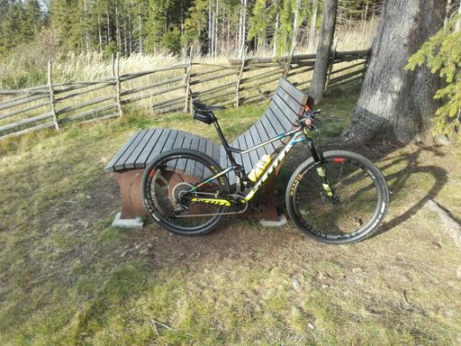 Setupfahrt Aussichtsturm Wildwiese mit herrlichen Wurzeltrails😁