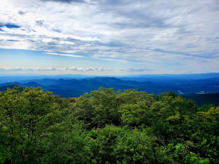 Brasstown Bald Jack's Gap Ascent 2.9 mi Trail Running Route on Strava