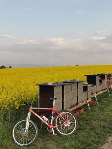 Kontrola dziewczyn:)