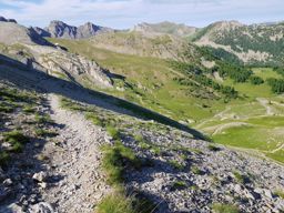 Rando fleurie autour du lac d’Allos