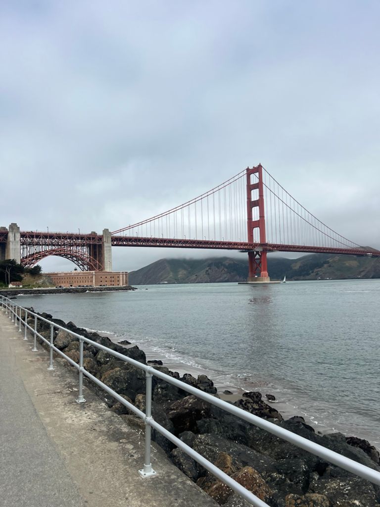 Butterlap (Presidio & Golden Gate Park) photo 114