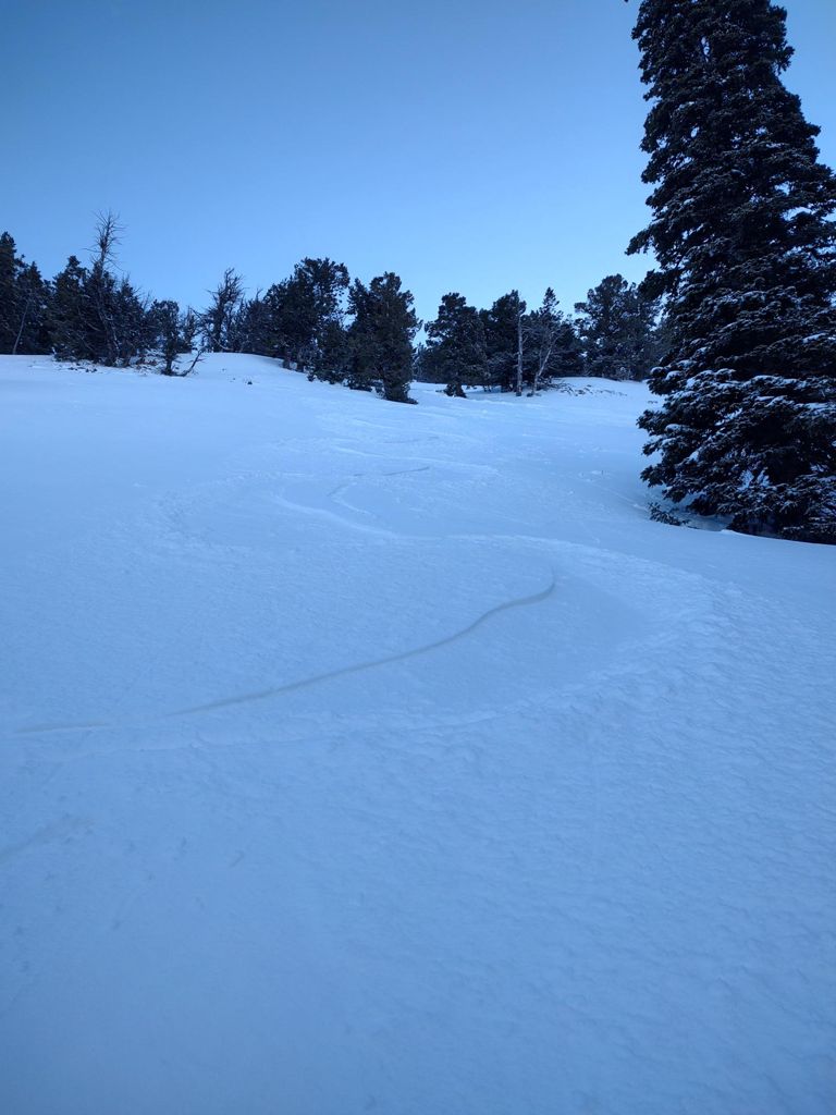 Double-click to expand Morning Backcountry Ski — photo 5