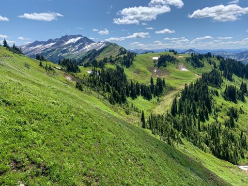 White Pass is awfully green!