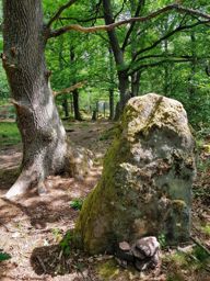 Guirbaden Heindenkopf