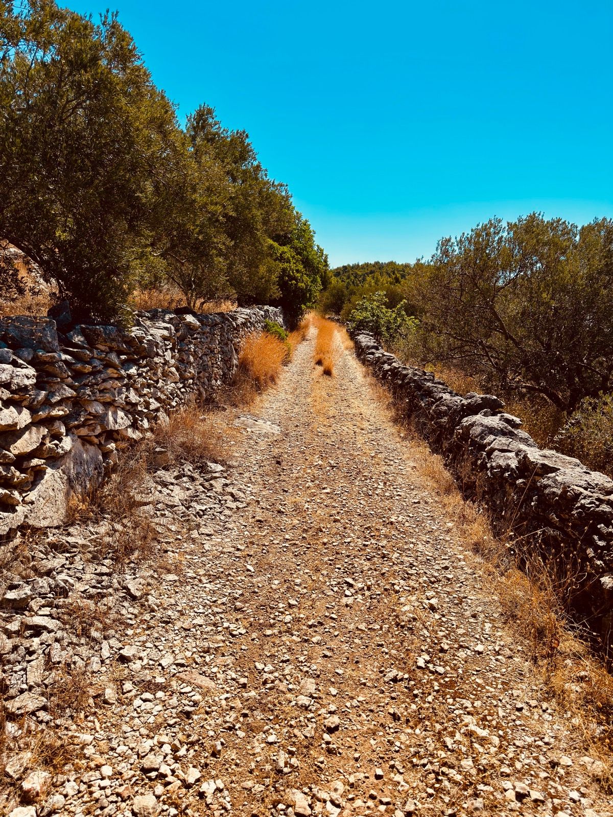 Ride Image 7