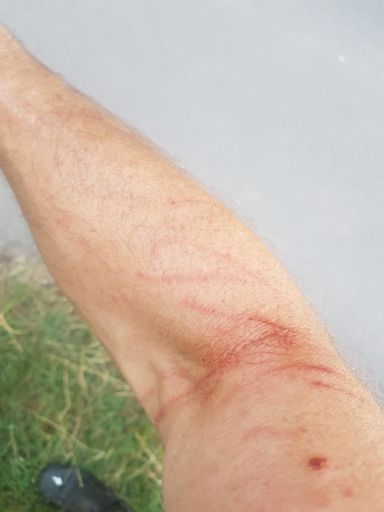 La nature est (un peut trop)attachante