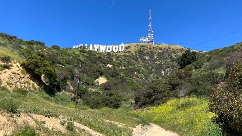 NBB run - Lake Hollywood: фото 138