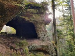 Course à pied matinale