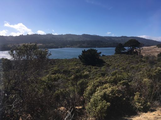 Wish I could have rode longer today!